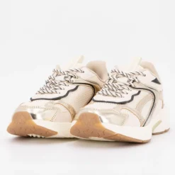 Baskets basses gold toile avec lacets à motifs Femme LE TEMPS DES CERISES