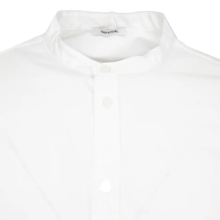 Chemise classique coton Homme IMPERIAL