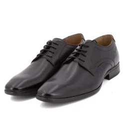 Derby genevacar Homme PIERRE CARDIN