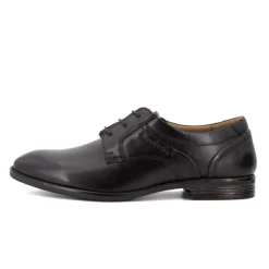 Derby wilex Homme PIERRE CARDIN
