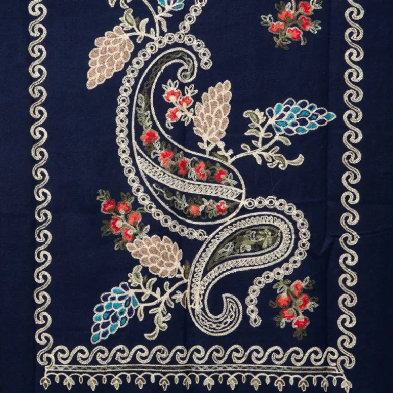 Echarpe douce avec broderie 70x185cm Femme GERARD PASQUIER