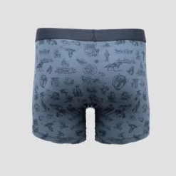 Lot 2 boxers coton imprimé Western logo manuscrit Homme LEVI'S