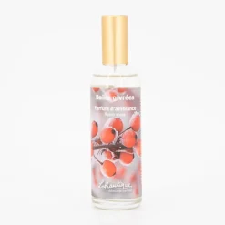 Parfum d'ambiance baies givrees 100 ml bgipa10 Mixte LOTHANTIQUE