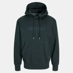 Sweat à capuche frederiksberg doux coton Homme JACK & JONES