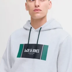 Sweat à capuche regular hayato imprimé encart logo Homme JACK & JONES
