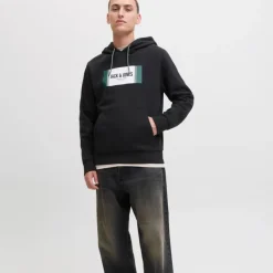 Sweat à capuche regular hayato imprimé encart logo Homme JACK & JONES