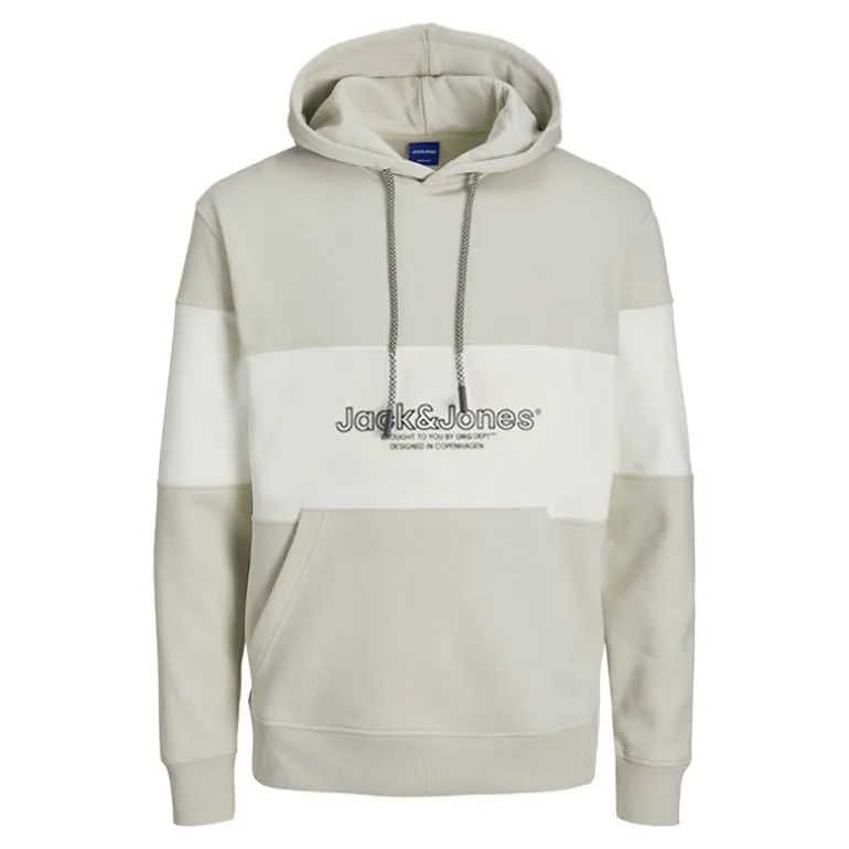 Sweat à capuche sky captain Lakewood Homme JACK & JONES