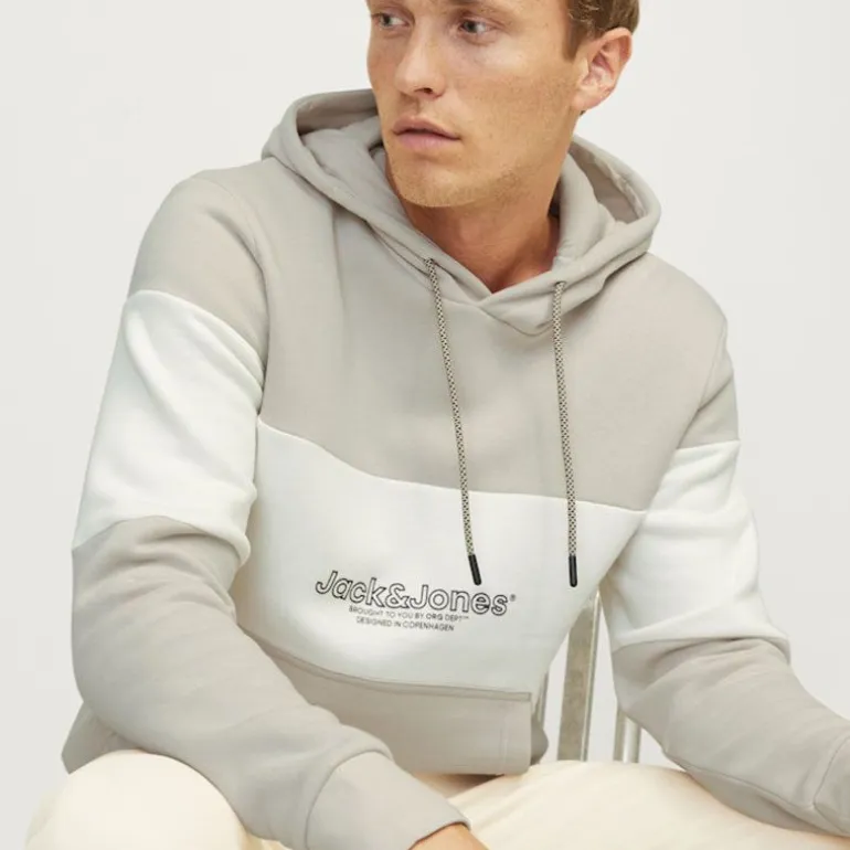 Sweat à capuche sky captain Lakewood Homme JACK & JONES