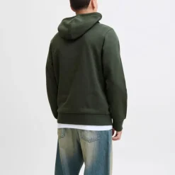 Sweat à capuche sky captain brandy regular fit Homme JACK & JONES