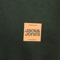Sweat à capuche sky captain brandy regular fit Homme JACK & JONES