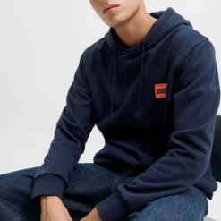 Sweat à capuche sky captain brandy regular fit Homme JACK & JONES