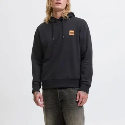 Sweat à capuche sky captain brandy regular fit Homme JACK & JONES