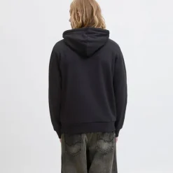 Sweat à capuche sky captain brandy regular fit Homme JACK & JONES