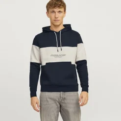 Sweat à capuche sky captain Lakewood Homme JACK & JONES