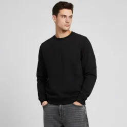 Sweat doux adriatico coton col rond Homme CERRUTI