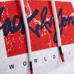 Sweat gris chiné imprimé avec capuche tiley coton mélangé regular Homme JACK & JONES