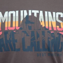 Tee shirt ajusté Mountains are calling coton Homme BEST MOUNTAIN