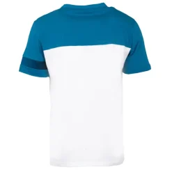 Tee shirt bleu sapphire et blanc Homme LE COQ SPORTIF