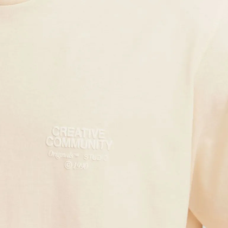 Tee shirt coton Noho dos imprimé graphique Homme JACK & JONES