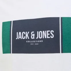 Tee shirt hayato coton manches courtes regular fit Homme JACK & JONES
