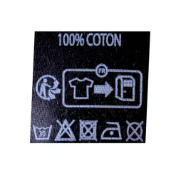 Tee shirt logo rayé en coton Homme CHEVIGNON