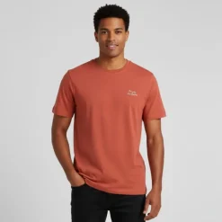 Tee shirt ornocello ginger spice coton col ras de cou Homme JACK & JONES